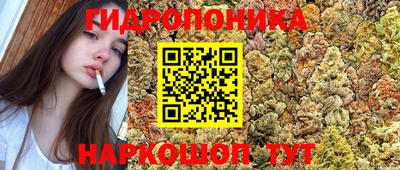 дмт Рыбинск