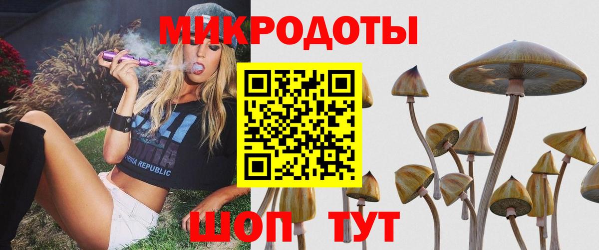 Пыть-Ях  Псилоцибиновые грибы Cubensis  Вход с VPN  Галлюциногенные грибы Psilocybe 